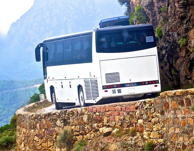 Immagine per strada_bus.jpg