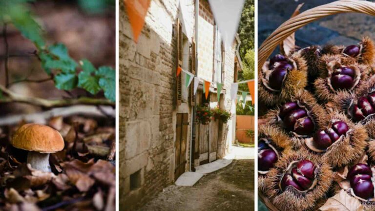 Sagre in Italia